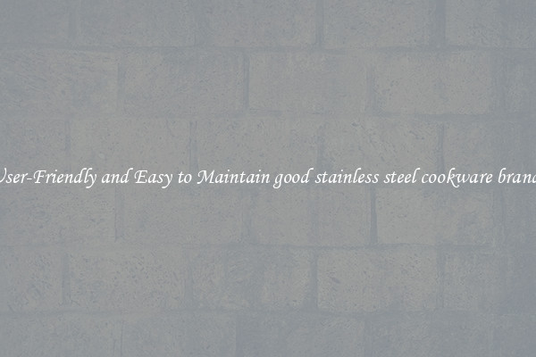 User-Friendly and Easy to Maintain good stainless steel cookware brands