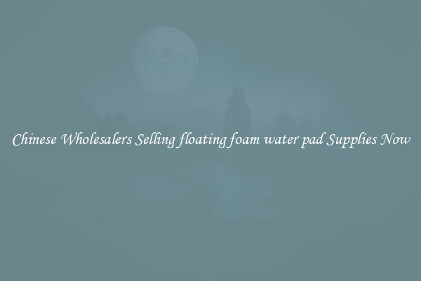 Chinese Wholesalers Selling floating foam water pad Supplies Now