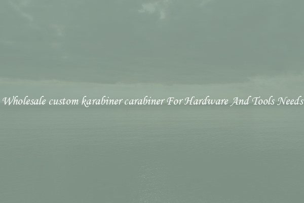 Wholesale custom karabiner carabiner For Hardware And Tools Needs