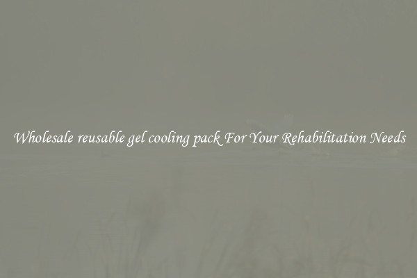 Wholesale reusable gel cooling pack For Your Rehabilitation Needs