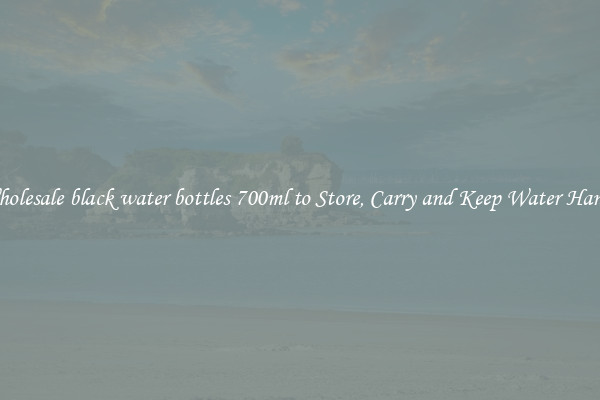 Wholesale black water bottles 700ml to Store, Carry and Keep Water Handy