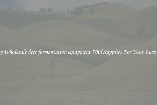 Buy Wholesale beer fermentation equipment 700l Supplies For Your Business
