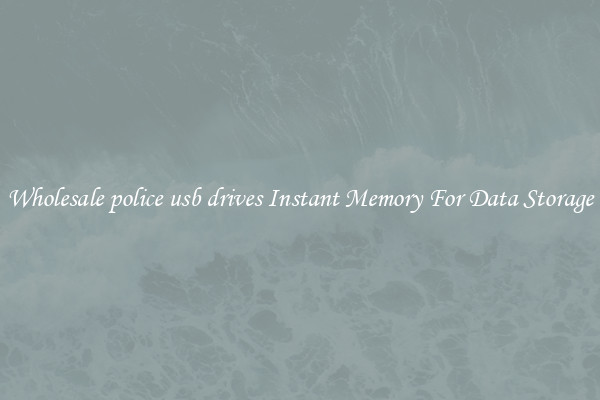 Wholesale police usb drives Instant Memory For Data Storage