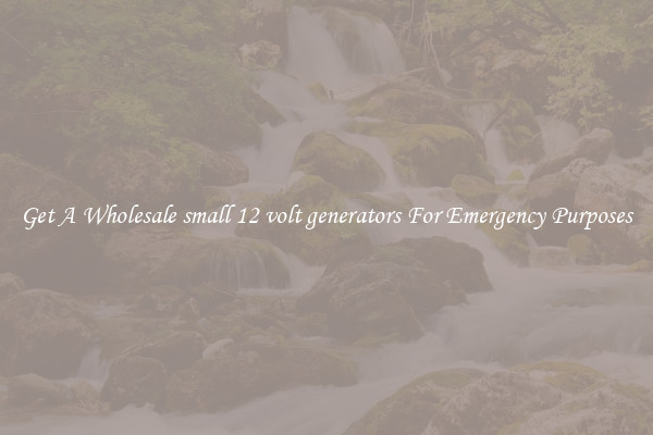 Get A Wholesale small 12 volt generators For Emergency Purposes