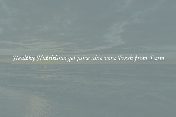 Healthy Nutritious gel juice aloe vera Fresh from Farm