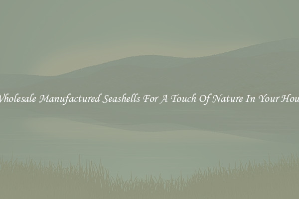 Wholesale Manufactured Seashells For A Touch Of Nature In Your House