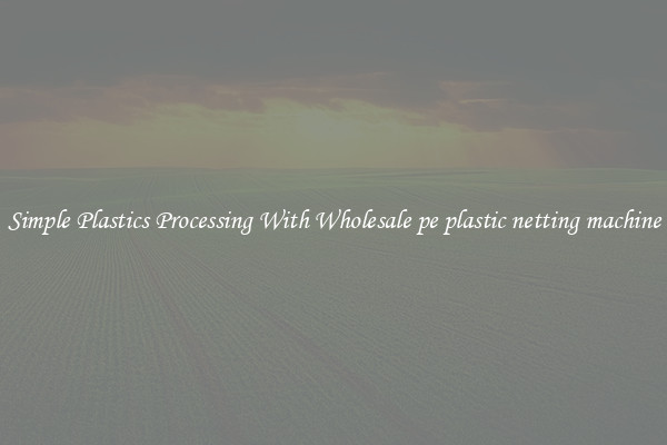 Simple Plastics Processing With Wholesale pe plastic netting machine
