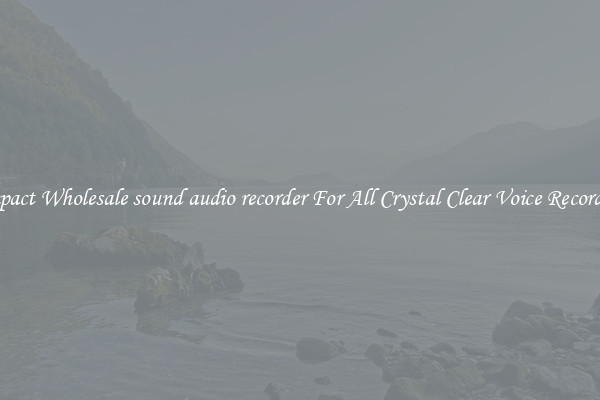 Compact Wholesale sound audio recorder For All Crystal Clear Voice Recordings