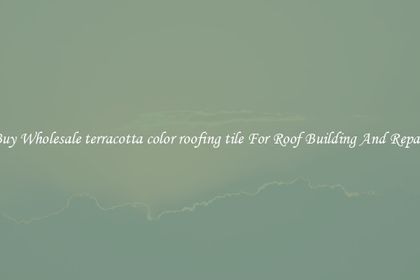 Buy Wholesale terracotta color roofing tile For Roof Building And Repair