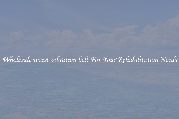 Wholesale waist vibration belt For Your Rehabilitation Needs