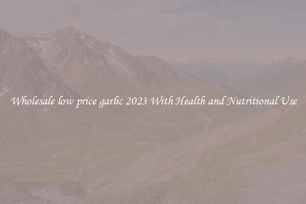 Wholesale low price garlic 2023 With Health and Nutritional Use
