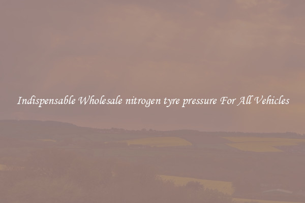 Indispensable Wholesale nitrogen tyre pressure For All Vehicles